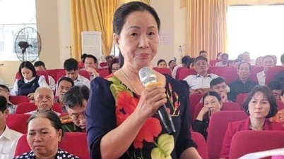 Cử tri Nam Sách, Ninh Giang đề nghị quan tâm đầu tư cho các xã, thị trấn sáp nhập