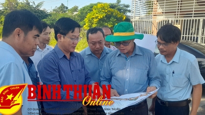 Phấn đấu khởi công chung cư Cà Ty vào tháng 4/2024