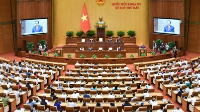 Kỳ họp 7 Quốc hội khóa XV Đại biểu Quốc hội tỉnh tham gia chất vấn Bộ trưởng Bộ Công Thương