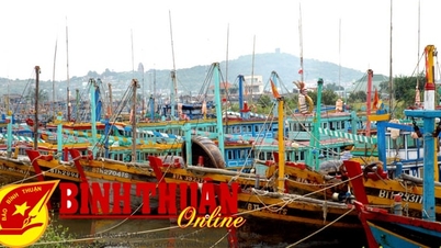 Nearly 2,000 fishing boats will receive support for VMS satellite service subscription fees.