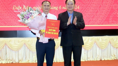 Comrade Vu Quang Trong holds the position of Vice Principal of the Provincial Political School.