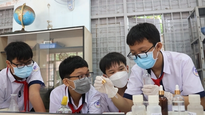 Improving the quality of education: View from national standard schools (Final part)