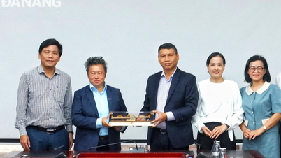 អាជីវកម្មសិង្ហបុរីចាប់អារម្មណ៍លើវិស័យជាច្រើនដែលទីក្រុង Da Nang កំពុងផ្តោតលើការអភិវឌ្ឍន៍។