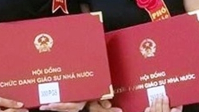 Официально признано 630 профессоров и доцентов в 2023 году