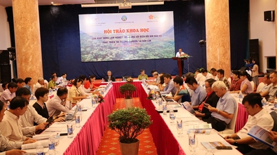 Đắk Lắk bàn cơ chế phát triển thị trường tín chỉ carbon từ sản xuất nông lâm nghiệp