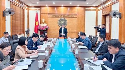 Dự kiến sáng 20/5 mở vườn vải Thanh Hà, cắt băng xuất khẩu vải tại ga Cao Xá