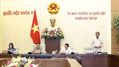 Proposal to reduce corporate income tax by 50% for press agencies