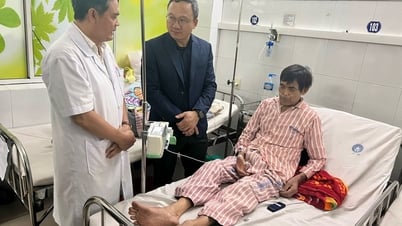 Xác định nguyên nhân vụ tai nạn tại cao tốc La Sơn