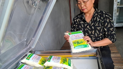 Orang yang menaikkan level Kinh Mon 'biji emas'