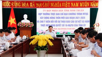 Họp Ban Chỉ đạo Chương trình mục tiêu quốc gia xây dựng nông thôn mới