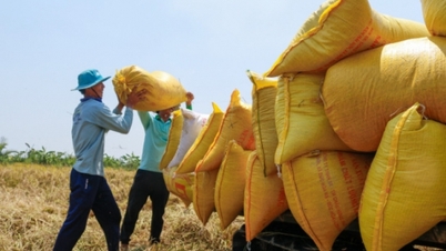 តម្លៃ​អង្ករ​នាំ​ចេញ​ធ្លាក់​ចុះ​ទាប​ក្នុង​រយៈពេល​៤​ឆ្នាំ