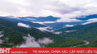 ស្វែងយល់ពីភាពស្រស់ស្អាតលាក់កំបាំងនៃឧទ្យានជាតិ Vu Quang