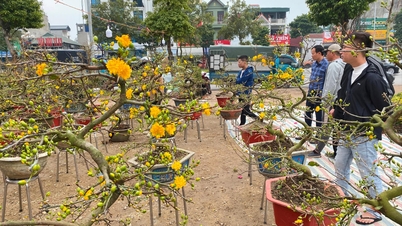Tet flowers of the past - Tet flowers of the present