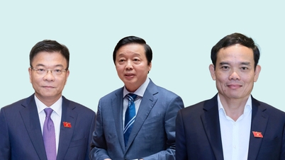 Thủ tướng phân công thêm nhiệm vụ cho các Phó Thủ tướng