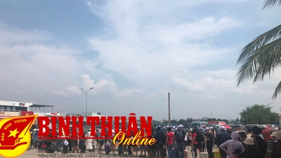 ទេសចរណ៍ Phu Quy ក្នុងរដូវកាលកំពូល