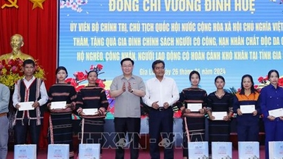 ប្រធានរដ្ឋសភា អបអរសាទរ តេត និងជូនអំណោយនៅខេត្ត Gia Lai