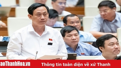 Đại biểu Mai Văn Hải (Đoàn ĐBQH tỉnh Thanh Hóa) góp ý về một số nội dung còn ý kiến khác nhau của dự thảo Luật Di sản văn hóa (sửa đổi)