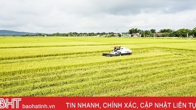 កសិផល Ha Tinh