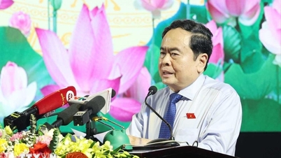 Solidarity, effort, ensuring progress of administrative unit arrangement