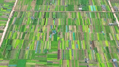 Tra Que Vegetable Village recognized as "Best Tourist Village" nominated for typical Cultural, Sports and Tourism events in 2024
