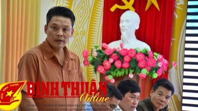 Bình Thuận chuẩn bị Lễ hội Nghệ thuật biểu diễn Thế giới lần I