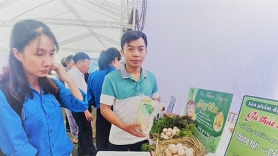 គំរូចិញ្ចឹមមាន់បែបរុក្ខជាតិរបស់សហករណ៍ Dai Son