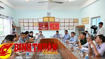 ក្រុមការងារនៃក្រសួងកសិកម្ម និងអភិវឌ្ឍន៍ជនបទចុះត្រួតពិនិត្យ IUU នៅខេត្ត Binh Thuan