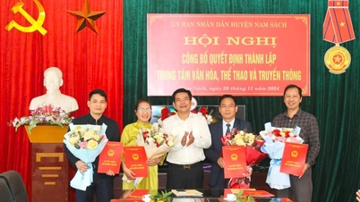 ស្រុកចំនួន៣ក្នុងខេត្ត Hai Duong បានប្រកាសការច្របាច់បញ្ចូលគ្នានៃមជ្ឈមណ្ឌលវប្បធម៌ និងព័ត៌មាន។