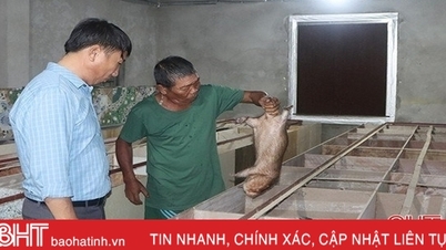 គំរូបសុសត្វ "ប្លែក និងចម្លែក" ជាច្រើនរបស់កសិករ Cam Xuyen