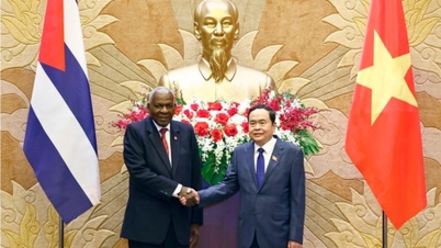 Developing Vietnam-Cuba relations to a new, more comprehensive and substantive level