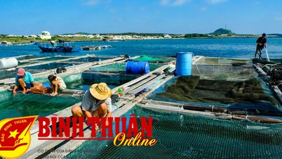 Tập huấn kỹ thuật nuôi biển và phòng bệnh thủy sản nước mặn