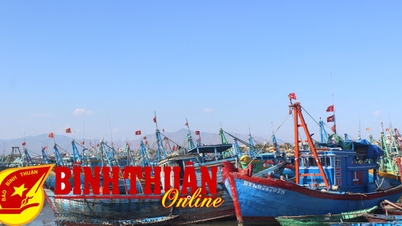 Quyết liệt, sâu sát hơn nữa trong công tác chống khai thác IUU
