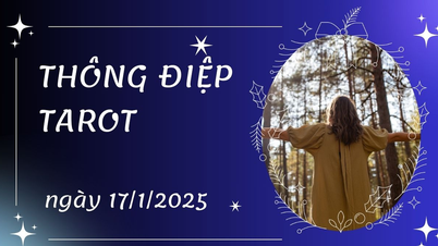 Thông điệp Tarot ngày 17/1/2025 cho 12 cung hoàng đạo: Thiên Bình bốc lá...