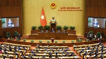 រដ្ឋសភាបានបើកសម័យប្រជុំវិសាមញ្ញ ដើម្បីពិនិត្យការងារបុគ្គលិកសម្រាប់តុលាការ សណ្ដាប់ធ្នាប់ប្រជាជនកំពូល និងរដ្ឋាភិបាលក្រោមអំណាចរបស់ខ្លួន។