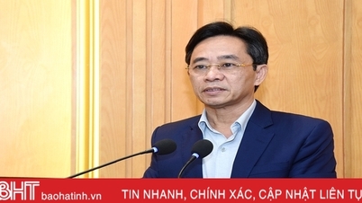 Phát huy vai trò, trách nhiệm của các ban chỉ đạo trong thực hiện nhiệm vụ