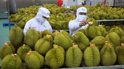 Thailand spends twice as much money to buy Vietnamese fruits and vegetables
