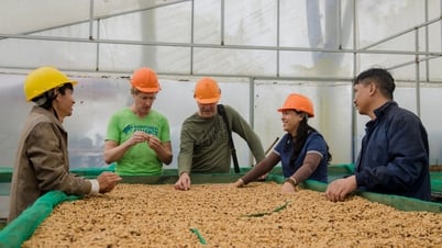Tăng sức đề kháng cho doanh nghiệp