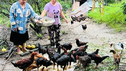Đak Pơ hướng nghiệp và tạo việc làm cho đồng bào dân tộc thiểu số
