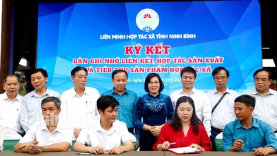ច្បាប់ស្តីពីសហករណ៍ឆ្នាំ 2023៖ ការបង្កើតច្រករបៀងផ្លូវច្បាប់ដើម្បីជួយអភិវឌ្ឍសេដ្ឋកិច្ចសមូហភាព
