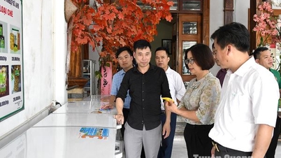 Tuyên Quang có 1 hội viên nông dân đạt danh hiệu Nông dân Việt Nam xuất sắc năm 2024