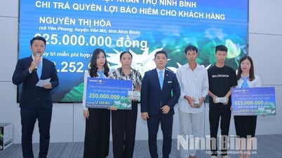 Đã có 11% dân số Việt Nam tham gia bảo hiểm nhân thọ