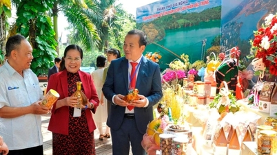 ទីក្រុង Gia Nghia បង្កើនល្បឿនយ៉ាងខ្លាំងនៅឆ្នាំ 2024