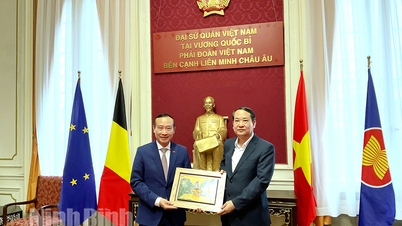 Tăng cường hợp tác đầu tư xúc tiến thương mại giữa doanh nghiệp Ninh Bình với doanh nghiệp Bỉ