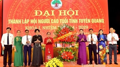 Đại hội thành lập Hội Người cao tuổi tỉnh khóa I, nhiệm kỳ 2024-2029