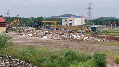 Completed clearance of 2 largest dike violation projects in Kinh Mon
