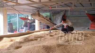 គាំទ្រកសិករប្រមូលដី