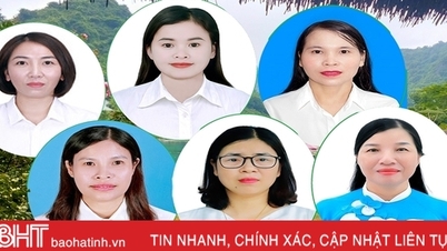 Ha Tinh មានគណៈប្រតិភូចំនួន ៦ ចូលរួមសន្និសីទលើកសរសើរប្រធានសមាគមនារីជាតិដ៏ឆ្នើម។