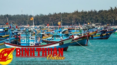 អ្វីដែលត្រូវធ្វើដើម្បីដកការព្រមាន "កាតលឿង" របស់ EC?
