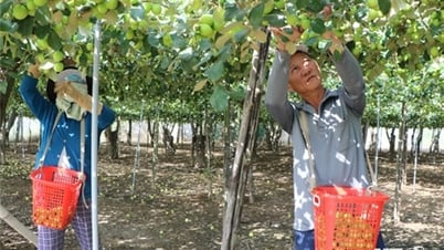 Sôi nổi khí thế sản xuất đầu xuân