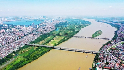 Tổ chức thành 2 tiểu vùng phía Bắc và phía Nam sông Hồng